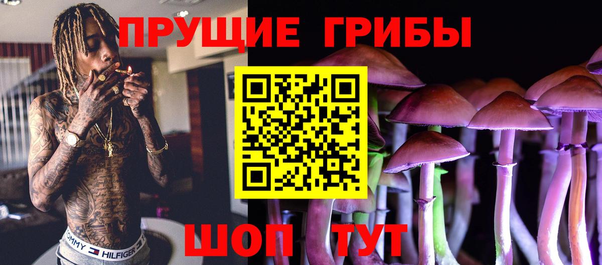 Артём  наркота  Вход с VPN  Псилоцибиновые грибы Cubensis 